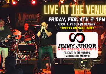 Jimmy Junior & The Roaring Elephants at THE VENUE!